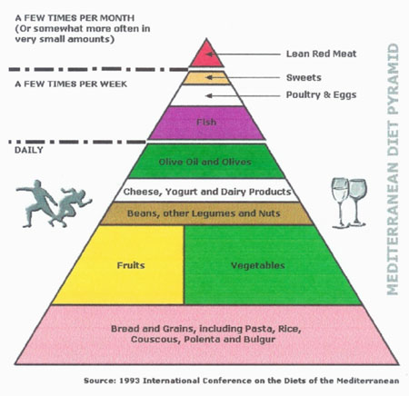 food groups pyramid. the principal food groups.